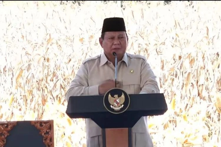 Prabowo Goda Mentan Usai Produksi Jagung Meningkat: Swasembada Bisa Lebih Cepat Ya...
