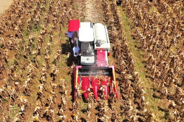 Prabowo: Saya Tidak Akan Tenang Sebelum Indonesia Swasembada Pangan