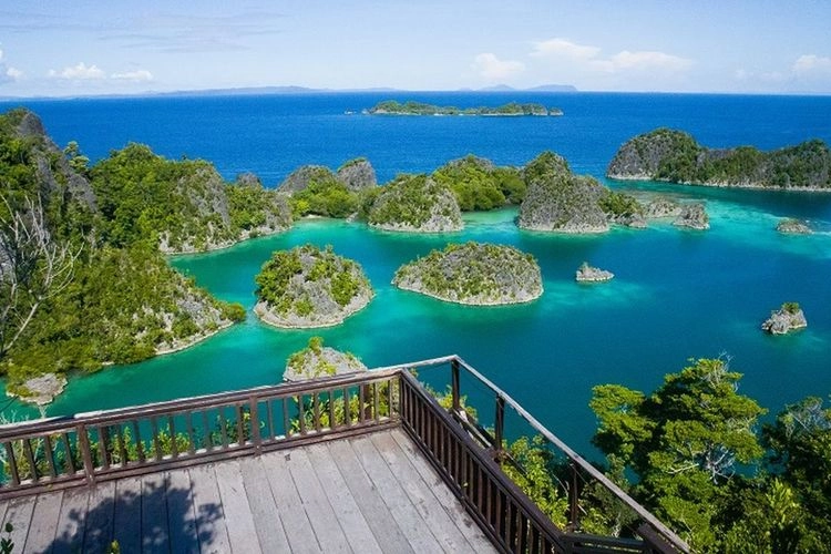 Soal Tambang Nikel, Ada Apa dengan Raja Ampat?