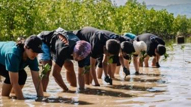 Bersama Pulihkan Pesisir: Marriott Luncurkan Inisiatif 10.000 Mangrove Untuk Indonesia