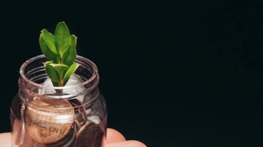 Ekonomi Hijau Bukan Sekadar Ramah Lingkungan, tapi Juga Bikin Cuan