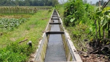 Infrastruktur Irigasi Selalu jadi Persoalan Pertanian RI