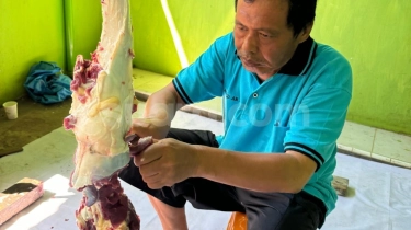 Stop Plastik! Warga Diimbau Gunakan Daun Pisang untuk Bungkus Daging Kurban