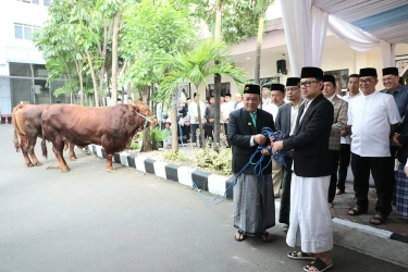 Wamendagri Serahkan Simbolis 279 Sapi dan Kambing Ke Panitia Kurban
