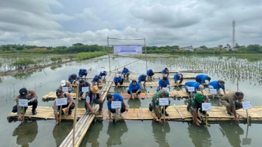 Bumi Semakin Hijau, Laut Semakin Hidup! Ini Aksi Nyata PNM untuk Alam Indonesia