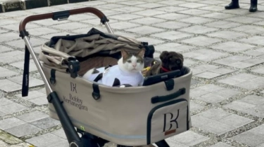 Rombongan Timnas Sambangi Prabowo di K4, Bobby Kertanegara Keluar Rumah Jalan-jalan Sore