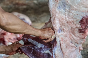 3 Cara Mudah Mengatasi Sembelit setelah Makan Daging Kurban