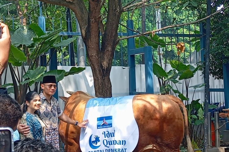 Demokrat Kurban 60 Ekor Sapi, Ada Atas Nama Ani Yudhyono