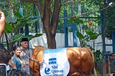 Demokrat Kurban 60 Ekor Sapi, Ada Atas Nama Ani Yudhyono