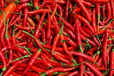 Harga Pangan Saat Libur Idul Adha, Cabai Merah Besar dan Gula Naik