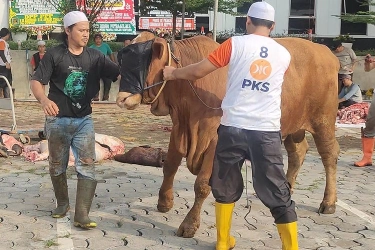 PKS Libatkan 