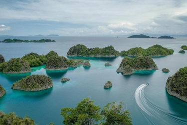 Profil Lengkap 4 Pemilik Tambang Nikel di Pulau Gag Raja Ampat