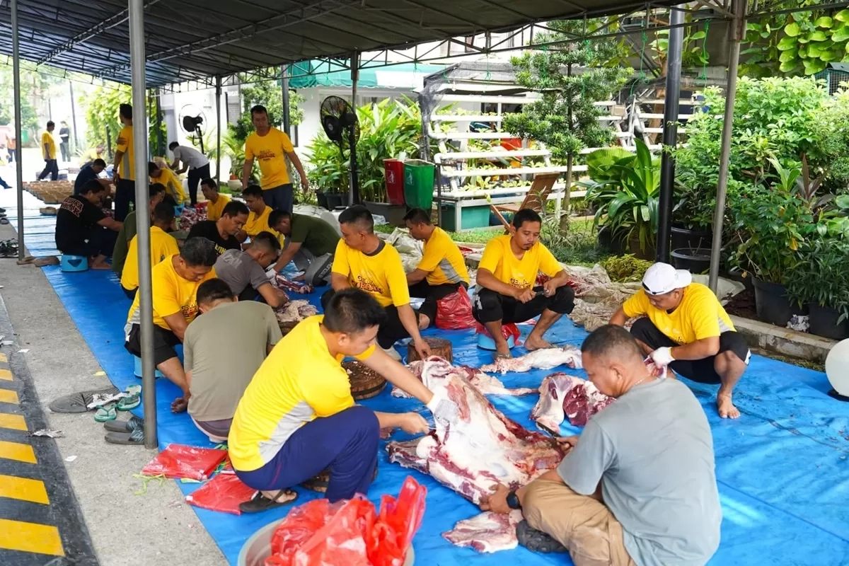 Peringati Idul Adha 1446 H, ASDP Distribusikan 20 Ekor Sapi dan 100 Ekor Kambing hingga Kawasan 3T