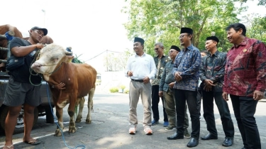 Berkah Iduladha, SIG Tebar 237 Hewan Kurban di 20 Provinsi