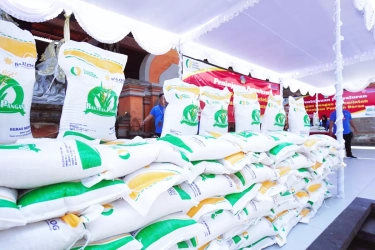 Bantuan Pangan Beras 20 Kg untuk 18,3 Juta Keluarga Penerima Manfaat Dimulai Akhir Juni 2025