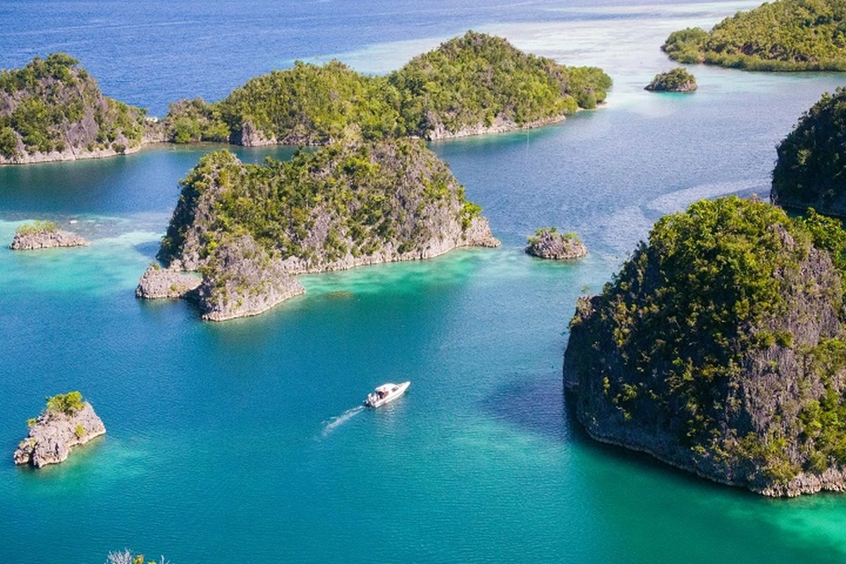 Misteri Kapal Pengangkut Nikel Raja Ampat Bernama JKW dan Dewi Iriana