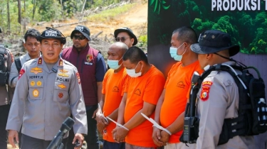 Babat Hutan Lindung di Riau Demi Kelapa Sawit Puluhan Hektare, 4 Orang Resmi Tersangka