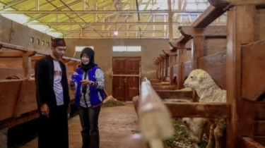 BRI Peduli Tingkatkan Kesejahteraan Peternak dan Ekonomi Desa BRILiaN Sukalaksana