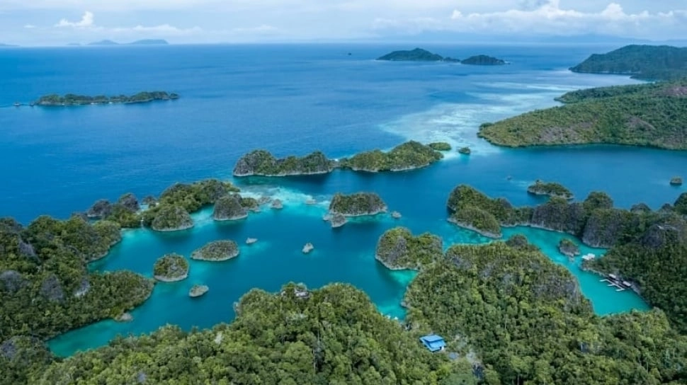 Dampak Tambang Nikel di Indonesia Timur: Dari Arsenik di Ikan hingga Ancaman ke Raja Ampat