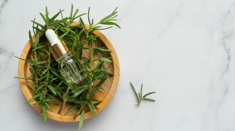 Plot Twist: Tea Tree Oil Ternyata Bukan dari Teh