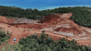 Selain Pulau Gag, Kementerian ESDM akan Periksa Pertambangan Nikel Lain di Kepulauan Raja Ampat