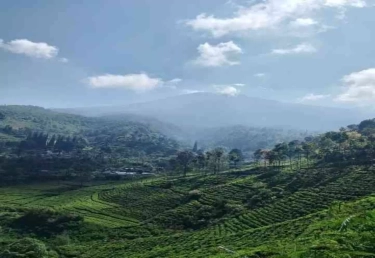 5 Destinasi Wisata Romantis di Blitar yang Pas Banget untuk Pasangan Muda