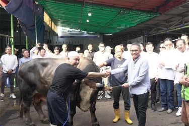 Peringati Hari Raya Idul Adha 1446 H, Pegadaian Salurkan Ratusan Hewan Kurban Untuk Masyarakat