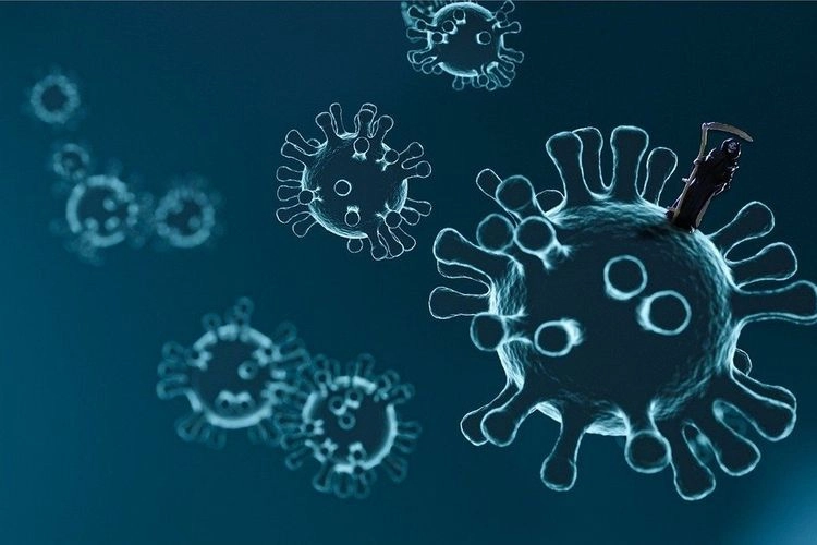 Apakah Virus HKU5 Berbahaya? Ini Kata Pakar…