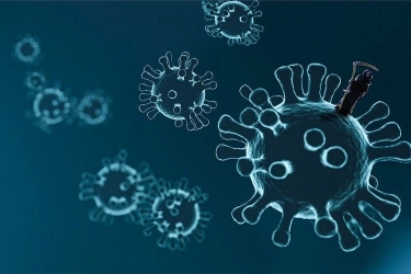 Apakah Virus HKU5 Berbahaya? Ini Kata Pakar…