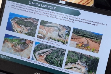 Prabowo Cabut Izin 4 Perusahaan Tambang di Raja Ampat, Ini Daftarnya