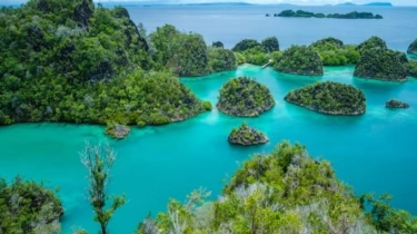Ada Kapal JKW dan Iriana Angkut Nikel dari Raja Ampat, Ini Sosok Pemiliknya