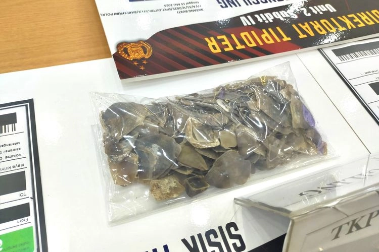 Bareskrim Gagalkan Penjualan Sisik Tenggiling, Temukan Barang Bukti 30,5 Kg