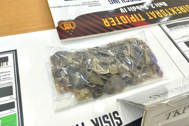 Bareskrim Gagalkan Penjualan Sisik Tenggiling, Temukan Barang Bukti 30,5 Kg