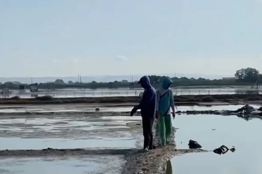 KKP Siapkan Rp 750 Miliar untuk Bangun Kawasan Sentra Industri Garam di Pulau Rote Ndao