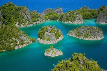 Profil 4 Perusahaan Tambang Nikel di Raja Ampat yang Dicabut Izinnya