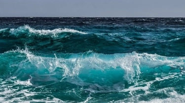 Peneliti Peringatkan Pengasaman Laut Lebih Cepat dari Perkiraan, Mengapa Kita Harus Khawatir?