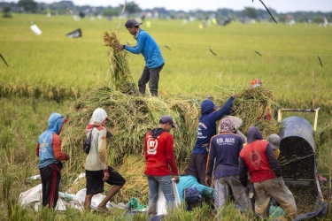 Melampaui Angka: Membaca Ulang Garis Kemiskinan Indonesia
