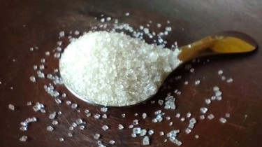 Eks Sesmenko Perekonomian Tegaskan Tak Ada Pembahasan Impor Gula oleh Swasta dalam Rakortas