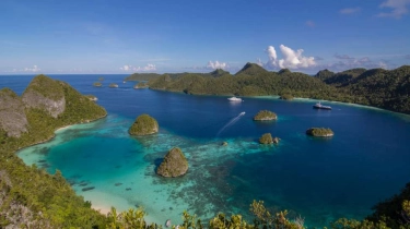 Tambang di Raja Ampat Harus Dihentikan Seluruhnya, Risikonya Mengerikan