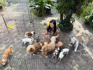 Lita Octavia, Hidup Serumah dengan 30 Anjing, dari Breeder Jadi Mami para Anabul
