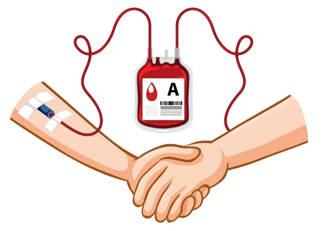 Meningkatkan Kualitas Hidup, Ini 14 Manfaat Donor Darah yang Jarang Diketahui dan Penting untuk Kesehatan