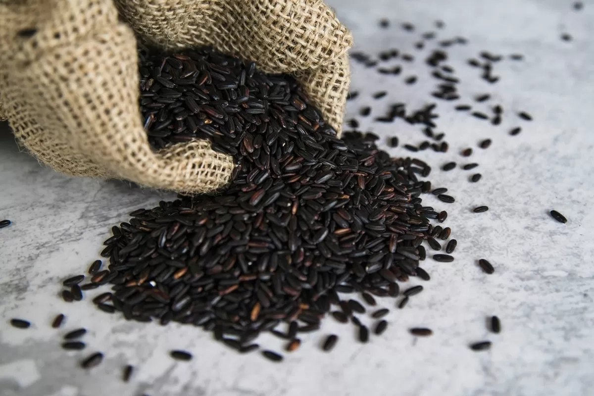 Temuan Unik! Ekstrak Beras Hitam Ampuh Mereduksi Dampak Kemoterapi Penderita Kanker