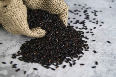 Temuan Unik! Ekstrak Beras Hitam Ampuh Mereduksi Dampak Kemoterapi Penderita Kanker