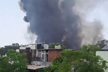 Penyebab Air India Jatuh, Diduga Tabrak kawanan Burung