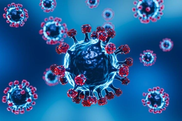 Virus HKU5 Berpotensi Menular ke Manusia, Apa yang Harus Diakukan?
