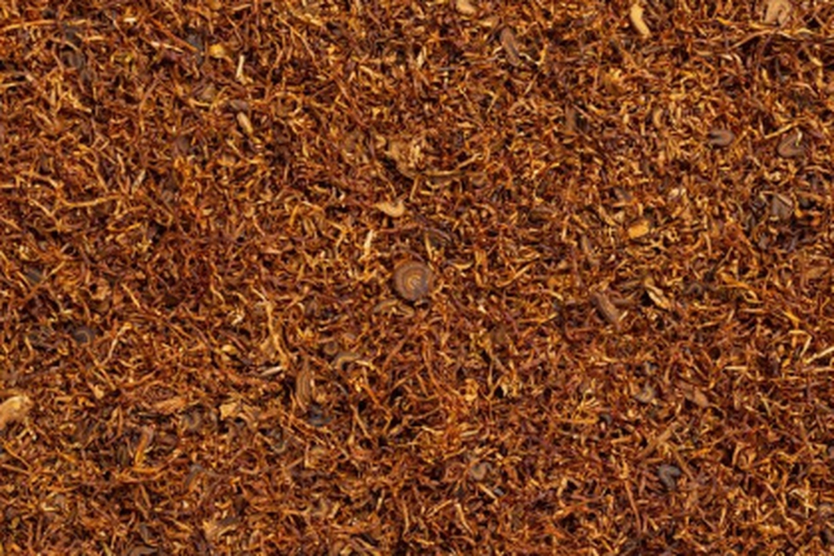 Penjualan Rokok Turun, Gudang Garam Setop Beli Tembakau Temanggung