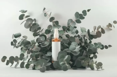 Manfaat Centella Asiatica dalam Skincare yang Perlu Diketahui, Efek Samping dan Cara Menggunakan untuk Perawatan Harian