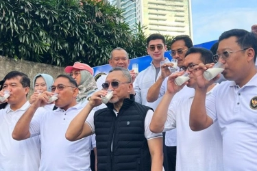 Pemerintah Klaim Genjot Produksi Susu Sapi Lokal, tapi Impor Tak Dibatasi