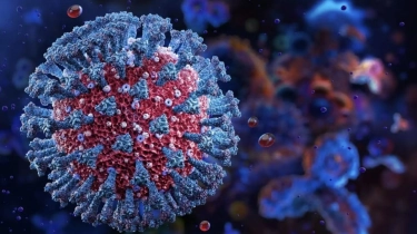 Mengenal Virus Corona Varian Nimbus, Penularan Kasus Melonjak di 13 Negara