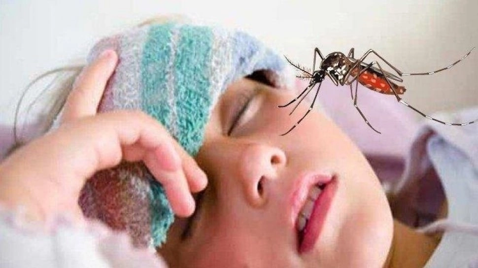 2030 Bebas Dengue? Indonesia Hadapi Tantangan Berat, Vaksin Jadi Harapan
